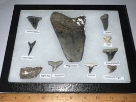 Item image 12