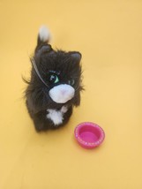 American Girl Licorice Cat Black White Kitten Doll Kitty with bowl in box - £8.83 GBP