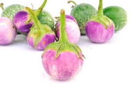 100+ seeds Thai small Mix white+ Purple,  White+Green, Purple Eggplant - Cà Pháo - £4.20 GBP