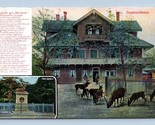 Ferienwohnungen Dambachhaus Hunting House Thale Germany DB Postcard M2 - £7.74 GBP
