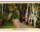 Generici Scena Autostrada Greetings From North Conway Nh Unp Lino Cartolina - $4.04