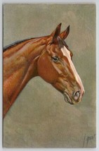 Artist Signed Rivst Beautiful Brown Horse Portrait Postcard D26 - £7.07 GBP