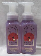 Bath &amp; Body Works Foaming Hand Soap Set 2 YOU&#39;RE THE DOGGONE BEST RAINBO... - $23.77