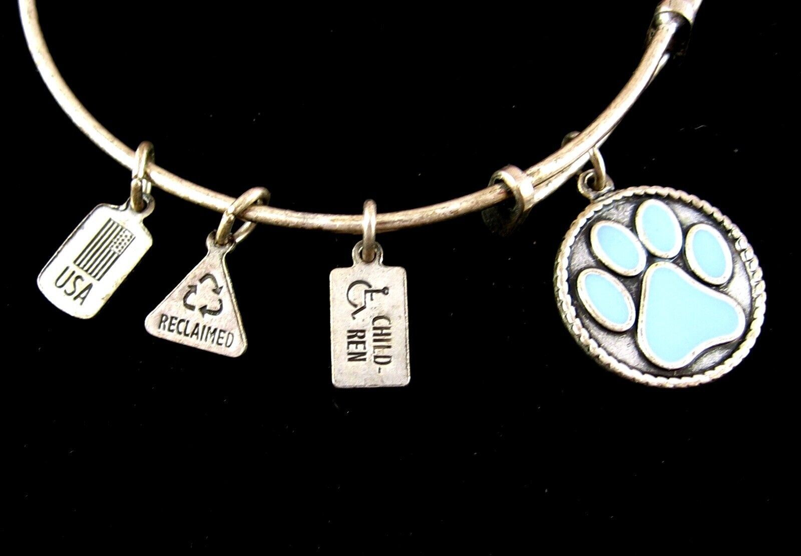 Blue DOG PAW PRINT CHARM Bracelet Vintage Social Eco Environment Wind &amp; ... - $15.83