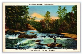 Generic Scenic Greetings Fishing Promised Land Lake PA UNP Linen Postcard T23 - $3.91