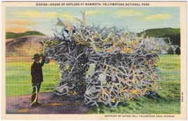 Postcard House Of Antlers At Mammoth Yellowstone National Park Wyoming - £3.95 GBP