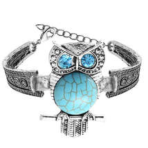 Turquoise &amp; Cubic Zirconia Silver-Plated Owl Charm Bracelet - £11.24 GBP