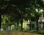 Eagle Street View Greenville Pennsylvania PA 1910s DB Postcard HH Hamm Pub - $4.90