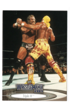 2003 Fleer WWE WrestleMania XIX Triple H vs Hulk Hogan #26 Card HHH Hollywood NM - £2.33 GBP