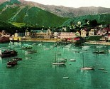 Santa Catalina Island CA Avalon From Sugar Loaf Bay Boats 1910s Postcard... - $14.22