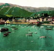 Santa Catalina Island CA Avalon From Sugar Loaf Bay Boats 1910s Postcard UNP - $14.22