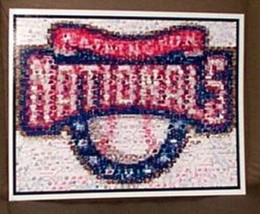 Amazing Washington Nationals Montage Limited Edition - $11.03