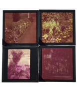 4 Diff 1950s Yellow &amp; Pink Flowers Garden Glass Plate Photo Slide Magic ... - £14.64 GBP