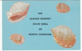 Vintage Postcard The Scotch Bonnet State Seashell of North Carolina Unused - £6.10 GBP