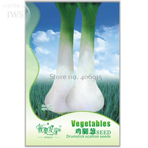 Heirloom Green Drumstick Scallion Original Pack 30 organic green vegetable  - £6.57 GBP