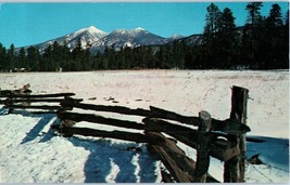 San Francisco Peaks Flagstaff Arizona Postcard  - £4.07 GBP