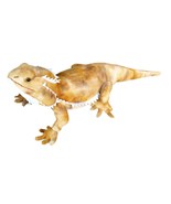 Adore 21&quot; Pogo The Bearded Dragon Lizard Stuffed Animal Plush Toy - £38.85 GBP
