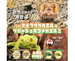 1/1 Scale Common Rain Frog &amp; Waxy Monkey Tree Frog Figure Series 2 Set of 4 - $46.90