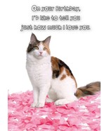 On Your Birthday - Birthday Greeting Card - 00777 - $2.79