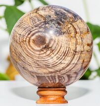 180mm Brown ARAGONITE Crystal Sphere Healing Metaphysical Stone Decor Gift - $887.61