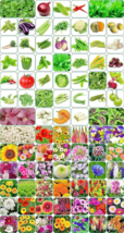 5000+ Seeds 85 Varieties of Flowers Vegetable &amp; Herbs Seeds For Kitchen ... - $18.77