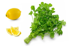 25 Organic Dwarf Lemon Cilantro Coriander Spice Coriandrum Sativum Herb Seeds - £4.46 GBP