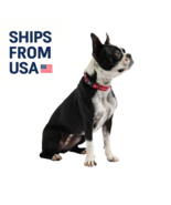 GF PET Reflective Dog Collar – Adjustable Nylon, High Visibility, Red XS... - $410.81 MXN+