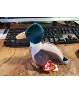 JAKE THE DRAKE MALLARD DUCK Beanie Baby by Ty (New with tag errors) - $1,837.08 MXN