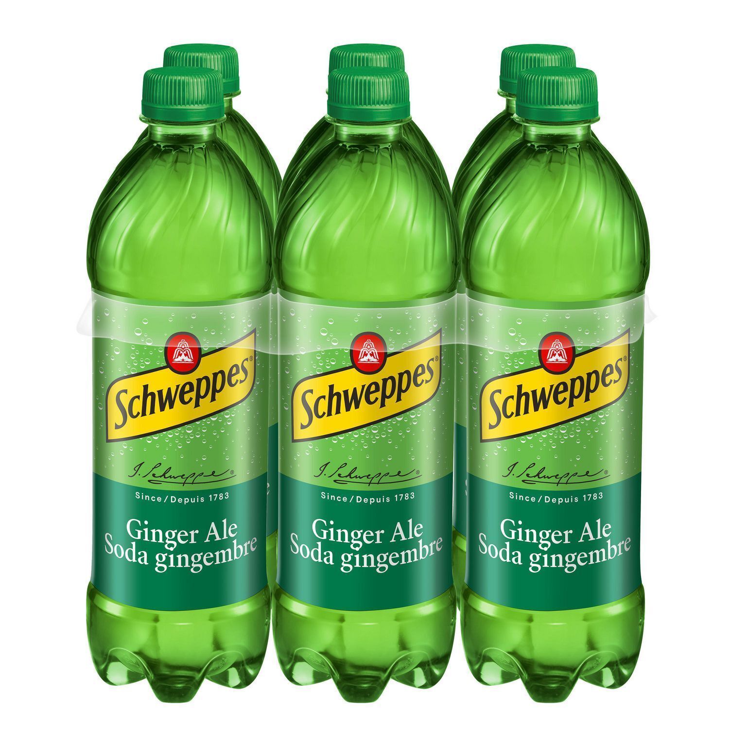 Primary image for 24 Bottles of Schweppes Ginger Ale Soda Soft Drink 710ml Each - Free Shipping