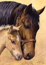 Mother&#39;s Comfort - Tree Free Greeting Card - 10923 - $25.61 MXN