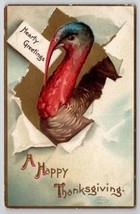 Ellen Clapsaddle Thanksgiving Turkey Davidson Family Long Pine NE Postcard A33 - £5.46 GBP
