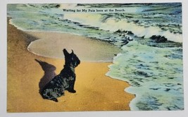 Lonley Dog on Beach, Waiting for Pals Linen Postcard O1 - £11.95 GBP