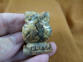 Y-BIR-OW-591) Lace Agate OWL BIRD gemstone STONE figurine OWLS birds statue - $18.69