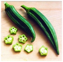 CLEMSON SPINELESS 80 OKRA SEEDS | HEIRLOOM VEGETABLE GARDENING | Đậu Bắp... - £2.31 GBP