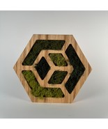 Unique Wooden Hexagon Wall Decor with Moss – Nature-Inspired Art - Custo... - $130.86 CAD