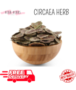 Organic Circaea Leaves Natural Dried Senna Leaf Herbs عشبة عشرق العشرق - $19.99+