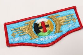 Vintage Tankiteke Lodge 313 OA Order Arrow WWW Boy Scouts of America Fla... - €6,64 EUR