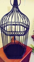 Black Metal Bird Cage for Decorative Use Garden/Patio image 6