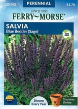 GIB Salvia Blue Bedder Flower Seeds Ferry Morse  - $10.00
