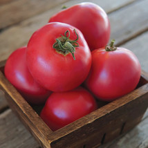 PPA 50 Seeds Japanese Momotaro Tomato Heirloom Vegetable Tomatoe Garden Edible - £3.57 GBP