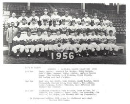 1956 BROOKLYN DODGERS 8X10 TEAM PHOTO BASEBALL MLB PICTURE - £3.87 GBP