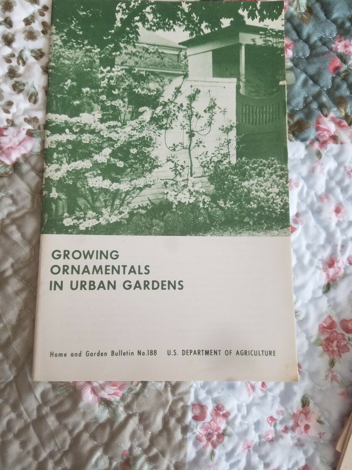 Growing Urban Ornamentals In Urban Gardens USDA 1971 - $3.95