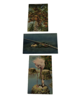 Florida Linen Postcard lot Flamingo Nesting Coconut Tree Pigeon Key Fishing Camp - $6.72