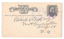 1879 DPO NY Thousand Island Park Double Ring CDS Fancy Cancel Star in Circle UX5 - £19.94 GBP