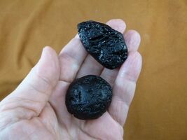 (x-351) set of 2 large Tektites TEKTITE from Impact 700,000 years ago sp... - $13.99