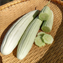 25 Seeds Armenian Cucumbers Edible Easy To Grow Beautiful Garden Fresh USA Garde - $12.49