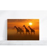 Giraffe Photo, Wildlife Photography, Animal Photo Print, Family of Giraf... - £17.99 GBP+