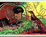 Ruffed Grouse Birds UNP 1939 National Wildlife Publishing Postcard I3 - £7.09 GBP