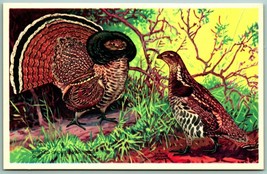 Ruffed Grouse Birds UNP 1939 National Wildlife Publishing Postcard I3 - $8.87