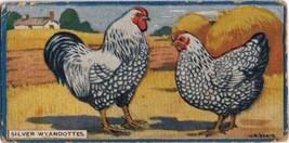 Cowan Co Toronto Card Silver Wyandottes Chicken Series - £7.78 GBP